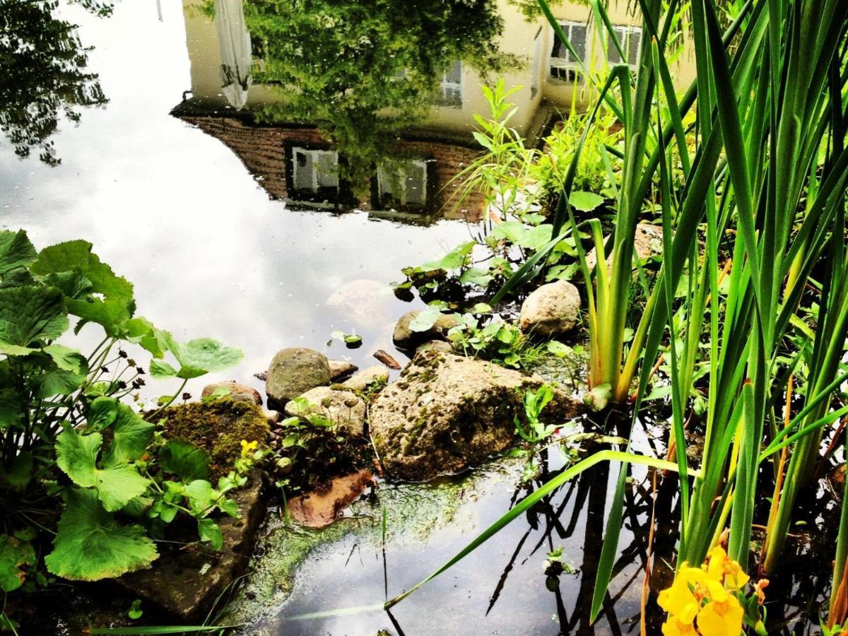 Meyenburg  Germania Hotel Am Schlosspark المظهر الخارجي الصورة